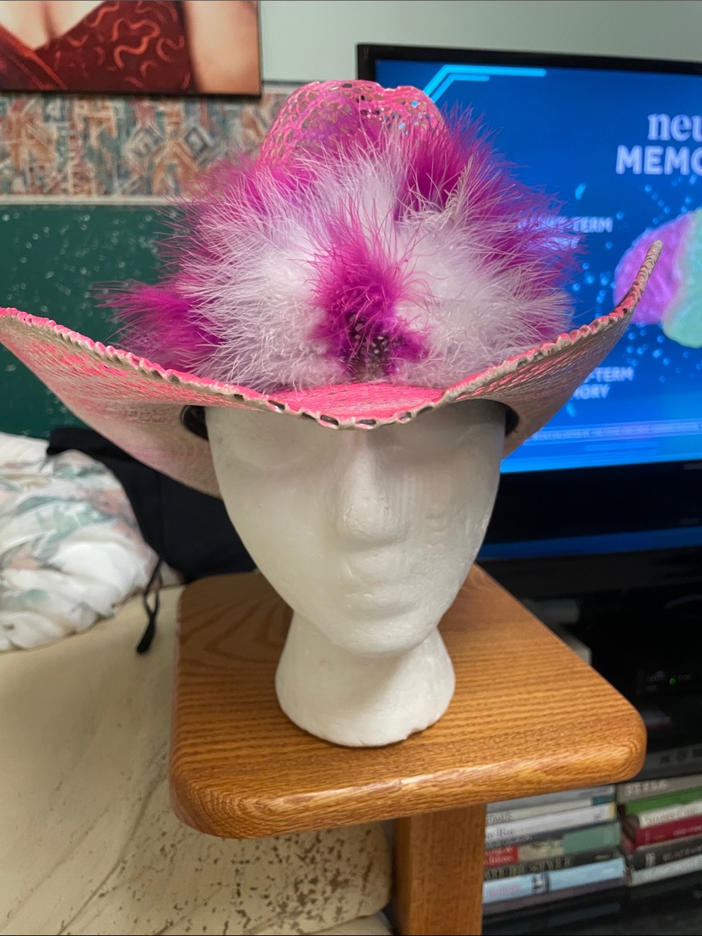 Vintage Pink/purple Feather Trimmed Cowboy Hat -new